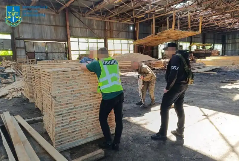 На Житомирщині викрили посадовців лісової галузі: збитки державі оцінили у 23 мільйони гривень