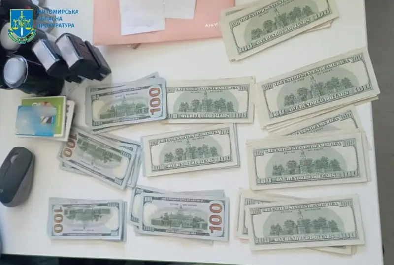 На Житомирщині викрили посадовців лісової галузі: збитки державі оцінили у 23 мільйони гривень