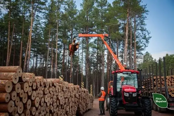 На Житомирщині затримали вантажівку з підробленими документами, а в лісі впіймали трьох «чорних лісорубів»