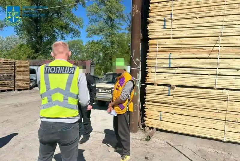 На Житомирщині викрили посадовців лісової галузі: збитки державі оцінили у 23 мільйони гривень